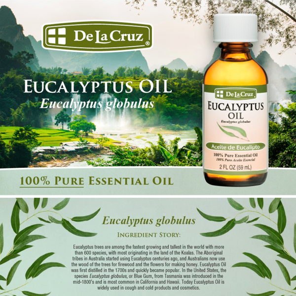De La Cruz Eucalyptus Essential Oil for Aromatherapy Diffuser and Humidifier 2 fl oz - Görsel 3